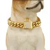 Collier pour chien de 14mm, couleur or, chaîne en acier inoxydable pour animaux de compagnie, fournitures pour animaux de compagnie, serrure à strass Canoidea, haute polie, 10-24 pouces, 215C