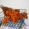 Dekorativa blommor torr risblomma evigt hirs diy hemfest dekor naturtorkat bröllop arrangemang centerpieces dekoration