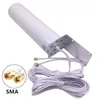 Glasfaserausrüstung MAYTO Antenne Dual 10 Meter Kabel 3G 4G LTE Router Modem Antenne Externer SMA/TS9/CRC9-Anschluss