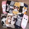 Calzini da donna 5/1 paia 3D Cartoon Cat Puppy Dog Cotton Harajuku Kawaii Kitty Ragazze Calzino Calzino Traspirante Casual Sox Corto