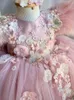 Pink Feather Pierwsze sukienki Komunii Świętej dla dziewcząt 2024 Tiulowy koronkowy niemowlę małe dziecko konkurs Klątka sukienka na wesela 3D Flowers Tiulle Puffy Birthday Gowns