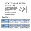 14mm Köpek Yakası Altın Renk Paslanmaz Çelik Pet Zinciri Kolye Pet Malzemeleri Canoidea Rhinestone Lock Yüksek Cilalı 10-24inch215c