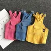 Denim Hondenkleding Huisdierkleding Kleding voor honden Rok Sling Hondenjurk Winter Puppy Huisdierenkleding voor honden Huisdierenkleding Ropa Perro LJ2306Z