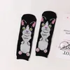 Chaussettes de femmes kawaii équipage drôle mignon dessin animé animal chat animal harajuku printemps automne quatre saisons femelle décontractée bassinante
