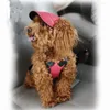 Abbigliamento per cani Cappello estivo Berretto da baseball per animali domestici Cappelli per protezione solare per esterni Sole traspirante per cani Accessori per gatti