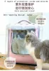 Cat Carriers 2024 Transparent Bag Out Portable Dog Pet Big Suitcase Box Large Space Foldable