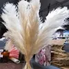 80cm Natural Dried Flower Pampas Grass Reed Home Decoration Gray Large Wedding Layout Corner Shop Display Window Decoration276G