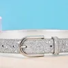 Bälten 2024 Fashion Luxury Women Glitter Gold Belt High Quality Female Silver midja Ceinture Korea Klädtillbehör 95 105 115cm