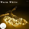 Strings 6M Christmas Decoration Remote Control Holiday Wedding Fairy Tale Flower Ring Light Bedroom Curtain Battery Box String