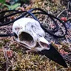 Chaînes Beige Antique Grand Corbeau Crâne Pendentif Collier Résine Réplique 3.5" Magpie Cadeau Unique Oiseau 3D