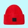 BeanieSkull Caps 31 kleuren Casual gebreide muts voor mannen en vrouwen Herfst Winter Borduurmuts Outdoor Warm houden Dikke Skullies Mutsen 2210241395256