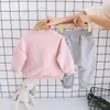 Kledingsets Peuter Meisjes Herfst Lente Mode Kinderkleding Cartoon Konijn Trainingspak Pakken Kinderen Baby Casual Kostuums 2 Stuks