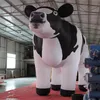 Оптовая продажа 8/10/13/16 футов или изготовленных на заказ гигантских надувных голландских молочных коров для рекламы, сделанных в Китае