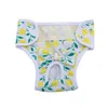 Dog Apparel Pet Physiological Pants Menstrual Princess Panties Diaper Breathable Bow Clothes Elasticity S-XL