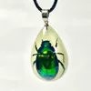 Custom Glow Real Insects Resin Pendant Necklace Insect Specimen Necklace Jewelry For Men