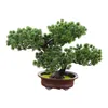 Decorative Flowers Artificial Potted Plants Welcoming Pine Tree Desktop Display Tabletop Decoration