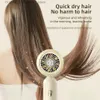 Hair Dryers Electric Hair Dryer Negative Ion Hair Care Professinal Quick Dry 220V Home Powerful Hairdryer Hot Cold Wind Portable Hair Dryer Q240131