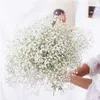 Flor Seca Natural Real Preservada Eternal Flowers Gypsophila Flower Wedding Party Bouquet Home Decor Babysbreath Flowerknows 21112260f