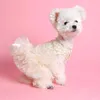 Dog Apparel Summer Gauze Bubble Skirt Clothes Lace Formal Ribbon Pet Dress Gawn Cat T-Shirt Teddy Special Occasion