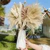 Natural dried Pampas Phragmites rabbit tail grass bouquet used for Bohemian Nordic home decoration wheat ear wedding decoration 240131