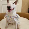 Vêtements pour chiens Robe d'été respirante imprimé de fleurs brisées pour grands chiens Jupe pour animaux de compagnie Costumes de vêtements mignons