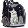 Cat Carriers Pet Carrier Backpack Transparent Bubble Small Animal Puppy Kitty Bird Breathable For Travel