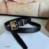 Womens belt designer belts ceinture homme men luxury cintura uomo solid bronze black fashion for women designers luxe womans waistband white leather colours 10A