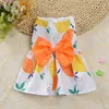 Dog Apparel Sweet Striped Bowknot Dress Skirts Mesh Lace Bow Knot Princess Clothes For Small Medium Dogs Puppy Costumes Chihuahua