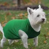 Ubrania dla psów letnie ubrania dla małych średnich psów solidne bawełniane akcesoria koszulki kamizelki kamizelki