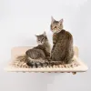 Scratchers Hamac pour chat 3 pièces avec poteaux de stratification, perche à étagère murale avec corde en bois et sisal pour meubles de saut de chaton