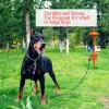 Hondenriemen Pet Tie Out kabel voor honden 25 ft/30 ft Tie Out kabel voor hond met duurzame veer en metalen draaihaken voor kamperen buiten