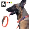 Halsbänder Truelove Hundehalsband-Halskette, personalisierte Haustierkette aus Leder, reflektierend, für kleine, mittelgroße und große Hunde, Trainingszubehör