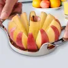 Tools High Quality 12Blade Extra Large Apple Cutter Slicer,Stainless Steel UltraSharp Fruit Corer Slicer Tools Kitchen Accessories