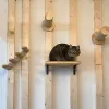 Skrapare 2 stycken träväggmonterad kattklättringsstege Set trappa med hängmatta som sover skrapstolpe för kattslipklor