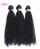 Brazylijskie kręcone dziewicze włosy Weave Pakiety nieprzetworzone brazylijskie afro Kinky Curly Remy Human Hair Extensons 3pcs Lot Natural Black1346739