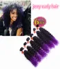 Haute qualité 6pcslot extensions de cheveux de tissage synthétique Jerry bouclés ombre brun kanekalon profond bouclés crochet violet tressage cheveux fo7879069