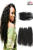 Kinky Curly Weave Human Hair Bundles med spetsstängning Malaysiska hårväv 3 -buntar med stängning Curly 34 Bunds Virgin Human 4205965