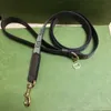 猫犬の首輪牽引ロープ調整可能な犬猫ハーネスリースリースカラーセット髪のない猫シュナウザー