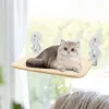 Brinquedos de gato resistente conforto de gatos fofos cama de gato grande gato de gato gatos gatos de escalada com moldura de brinquedo rolando 20 kg de suprimentos para animais de estimação