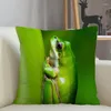 Oreiller Musife personnalisé grenouille Animal décoration de la maison 45x45 cm fermeture éclair taie d'oreiller carrée couverture goutte 3.18