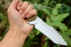 Top Quality A2287 Straight Knife D2 Satin Tanto Point Blade Full Tang G10 Handle Outdoor Camping Hiking Hunting Survival Tactical Knives with Kydex