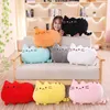 2024 Kawaii Cat peluche Cuscino gattino Cuscino morbido colorato Peluche grigio rosa bianco bambola di peluche regali per la fidanzata