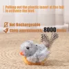 Toys Interactive Cat Toys Melody Bird Touchactivated Real Chrip Electronic Sound för inomhuskatter Livtro Kicker Cat Toy