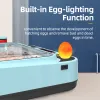 Tillbehör 64 Ägg Kyckling Bird Inkubator Egg Hatching Machine för att kläcka kyckling anka vaktel Automatisk intelligent gårdsmaterial