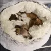 Maty miękkie pluszowe okrągłe łóżko dla kota Mattres