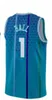 Lamelo Ball Basketball Jerseys Brandon Miller Hornet Tre Mann Mark Williams Miles Bridges Nick Richards Seth Curry New City Jersey Men Custom