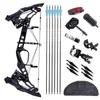 Bow Arrow High Quality 500 Ridge Steel Ball Bow Hunting Bow Outdoor Shooting Accessories Compoul Bow Set 20-60 kg Justerbar sammansatt båge YQ240301