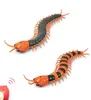 التحكم عن بعد Centipede CreepyCrawly Millipede Remote Controlrc مزحة حيوان مضحك محاكاة البلاستيك ABS عيد ميلاد GI863092792