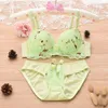 Bras Sets Ladies Fashion Bra Set Big Push Up Underwear 2 Pieces With Underwire Sexy Briefs 5 Colors Top For Young Girls