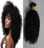 Mongolian kinky curly hair Natural Color I Tip Hair Extensions Human hair extension keratin 100g2967886